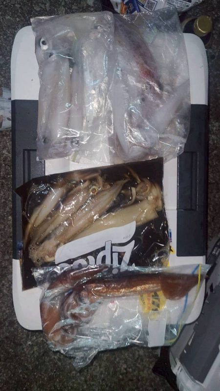 和歌山県白浜沖でイカメタル